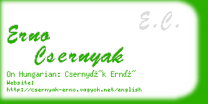 erno csernyak business card